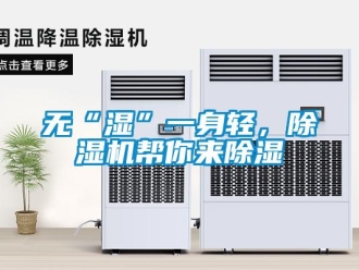 知識百科無“濕”一身輕，除濕機幫你來除濕