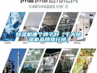 企業(yè)新聞除濕機哪個牌子好（十大除濕機品牌排行榜）