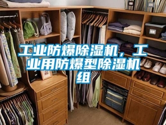 企業(yè)新聞工業(yè)防爆除濕機(jī)，工業(yè)用防爆型除濕機(jī)組