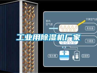 企業新聞工業用除濕機廠家