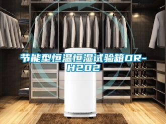 知識百科節(jié)能型恒溫恒濕試驗箱DR-H202