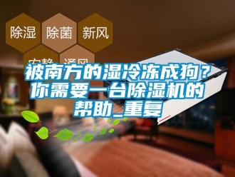 企業新聞被南方的濕冷凍成狗？你需要一臺除濕機的幫助_重復