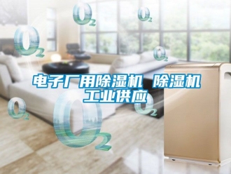 常見問題電子廠用除濕機(jī) 除濕機(jī)工業(yè)供應(yīng)