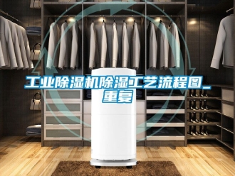 常見問題工業除濕機除濕工藝流程圖_重復