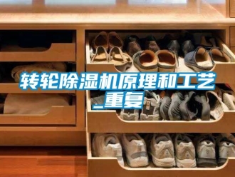 常見問題轉輪除濕機原理和工藝_重復
