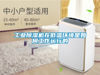 常見問題工業除濕機在低溫環境是如何工作運行的