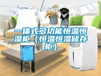 知識(shí)百科一體式多功能恒溫恒濕柜（恒溫恒濕儲(chǔ)存柜）