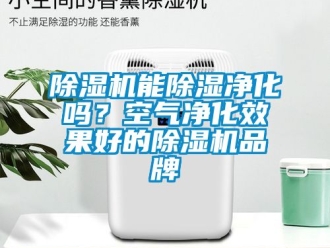 企業(yè)新聞除濕機能除濕凈化嗎？空氣凈化效果好的除濕機品牌