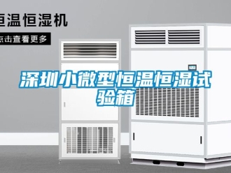 知識百科深圳小微型恒溫恒濕試驗箱