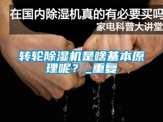 常見問題轉輪除濕機是啥基本原理呢？_重復