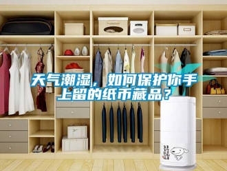 常見問題天氣潮濕，如何保護你手上留的紙幣藏品？