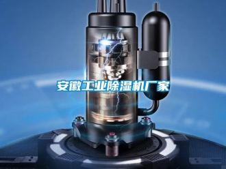 企業(yè)新聞安徽工業(yè)除濕機(jī)廠家