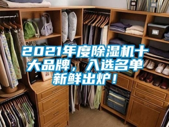 企業(yè)新聞2021年度除濕機十大品牌，入選名單新鮮出爐！