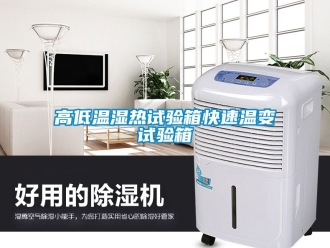 常見(jiàn)問(wèn)題高低溫濕熱試驗(yàn)箱快速溫變?cè)囼?yàn)箱