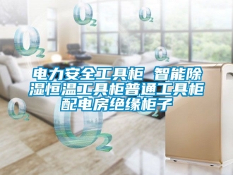 知識(shí)百科電力安全工具柜 智能除濕恒溫工具柜普通工具柜配電房絕緣柜子