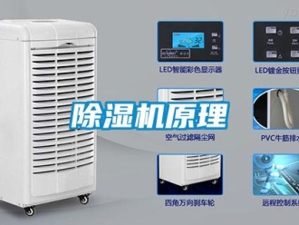 企業(yè)新聞除濕機(jī)原理