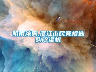 知識(shí)百科陰雨濃霧,湛江市民競(jìng)相選購(gòu)除濕機(jī)