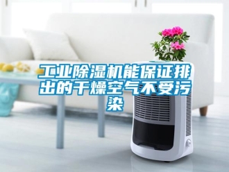 企業(yè)新聞工業(yè)除濕機(jī)能保證排出的干燥空氣不受污染