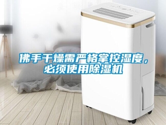 企業(yè)新聞佛手干燥需嚴(yán)格掌控濕度，必須使用除濕機(jī)
