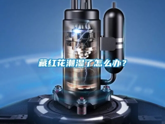 企業新聞藏紅花潮濕了怎么辦？