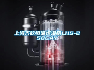 知識百科上海齊欣恒溫恒濕箱LHS-250CAY