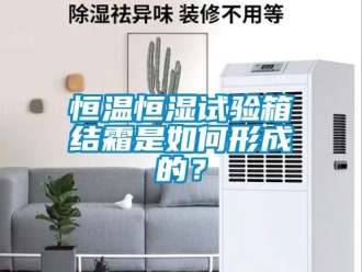 知識百科恒溫恒濕試驗箱結(jié)霜是如何形成的？