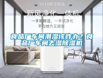 企業新聞食品廠車間潮濕該咋辦？食品廠車間去濕除濕機
