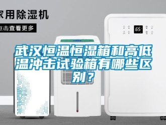 知識百科武漢恒溫恒濕箱和高低溫沖擊試驗箱有哪些區別？
