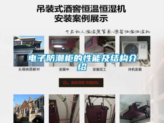 常見問題電子防潮柜的性能及結(jié)構(gòu)介紹