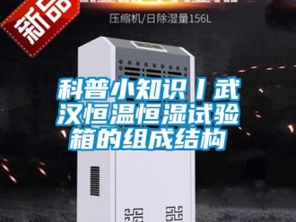 知識(shí)百科科普小知識(shí)丨武漢恒溫恒濕試驗(yàn)箱的組成結(jié)構(gòu)