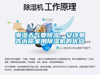 企業(yè)新聞潮濕天氣要除濕，安詩曼告訴你家用除濕機(jī)的優(yōu)點(diǎn)