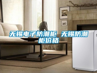 常見問題無錫電子防潮柜 無錫防潮柜價格
