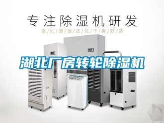 常見問題湖北廠房轉輪除濕機