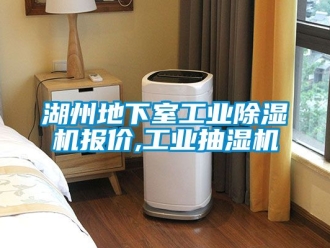 常見問題湖州地下室工業(yè)除濕機(jī)報價,工業(yè)抽濕機(jī)