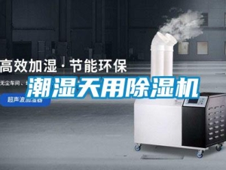 企業(yè)新聞潮濕天用除濕機(jī)