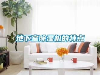 企業(yè)新聞地下室除濕機(jī)的特點(diǎn)