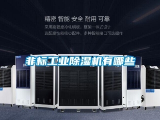 企業(yè)新聞非標工業(yè)除濕機有哪些