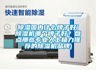 企業(yè)新聞除濕國內(nèi)什么牌子好(除濕機(jī)哪個牌子好？盤點那些專業(yè)人士極力推薦的除濕機(jī)品牌)