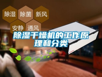 企業(yè)新聞除濕干燥機的工作原理和分類