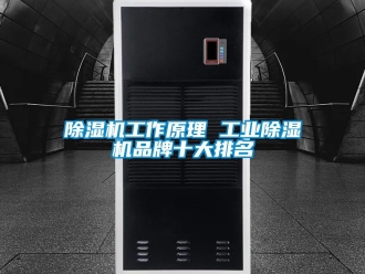 常見問題除濕機工作原理 工業(yè)除濕機品牌十大排名
