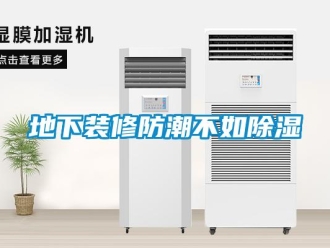 企業(yè)新聞地下裝修防潮不如除濕