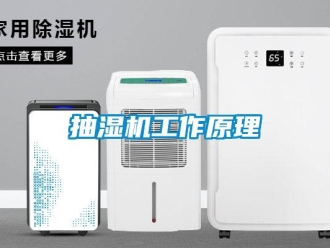 企業新聞抽濕機工作原理