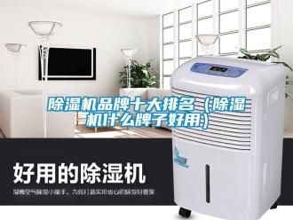 企業(yè)新聞除濕機(jī)品牌十大排名（除濕機(jī)什么牌子好用）