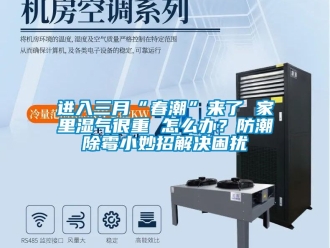 常見問題進入三月“春潮”來了 家里濕氣很重 怎么辦？防潮除霉小妙招解決困擾
