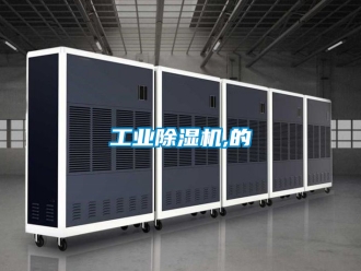 常見(jiàn)問(wèn)題工業(yè)除濕機(jī),的
