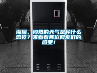 企業新聞潮濕、悶熱的天氣是種什么感覺？來看看各位網友們的感受！