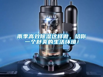 知識百科雨季高效除濕這樣做，給你一個舒爽的生活環境！