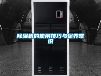 企業新聞除濕機的使用技巧與保養常識