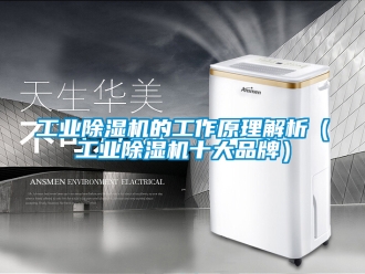 常見問題工業除濕機的工作原理解析（工業除濕機十大品牌）