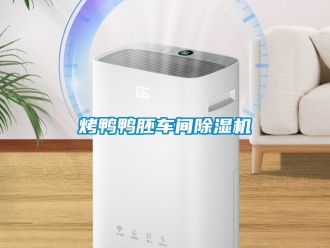 企業新聞烤鴨鴨胚車間除濕機